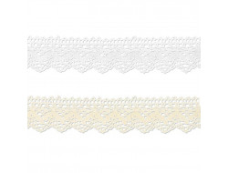 Dentelle coton 25 mm