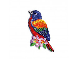 Écusson thermocollant oiseaux tropicaux - Loriquet arc-en-ciel