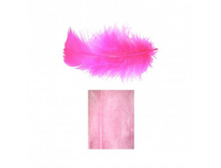 Boites de plumes  - Rose  - 1