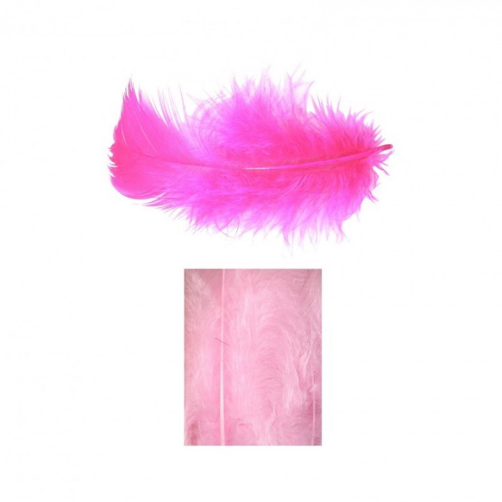 Boites de plumes  - Rose  - 1