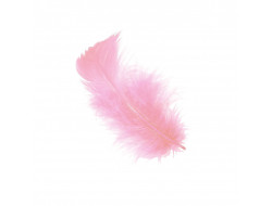 Plumes - Rose bébé