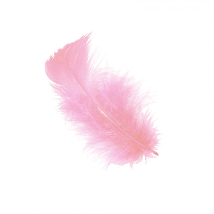 Boites de plumes  - Rose  - 2
