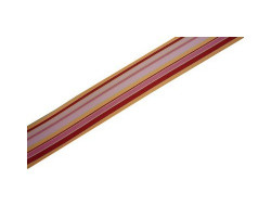 Ruban rayé multicolore
