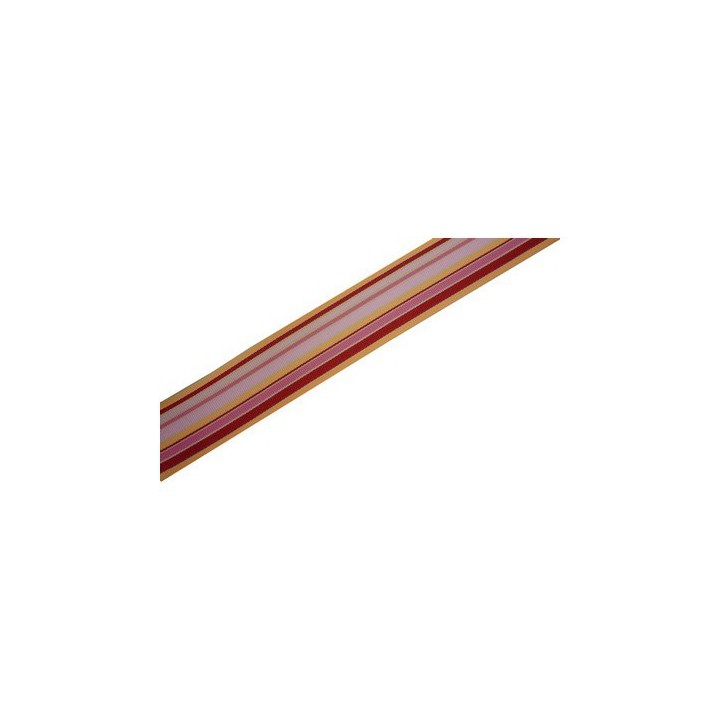 Ruban rayé multicolore  - 1