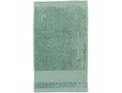 Serviette invité Vert glauque Rico