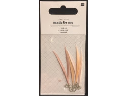Assortiment 6 Plumes poudre