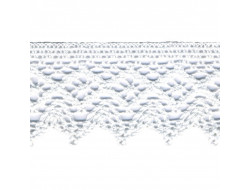 Dentelle coton couleur blanche 55 mm
