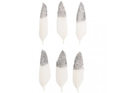 Plumes blanches et argent