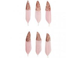 Plumes rose et or rose