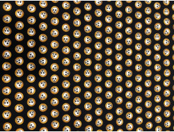 Tissu coton Tête de mort  - QT Fabrics  - 1