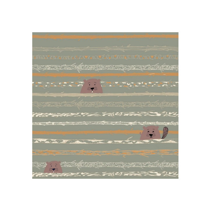 Tissu popeline de coton Beaver Tooth & Trees - Katia Fabrics  - 1