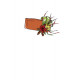 Chapeau femme - Mc Call's M8124