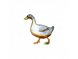 Écusson thermocollant - Oie