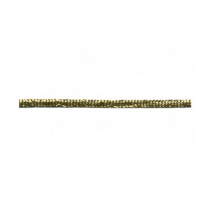 Petite tresse lurex doré 4 mm  - 1