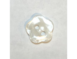 Bouton fleur blanche