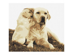 Labrador et son chiot Marie Coeur