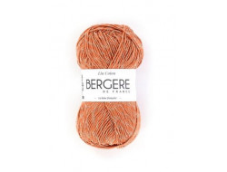 Fil Lin Coton Bergère de France