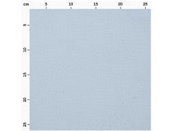 Tissu double gaze mousseline bleu ciel