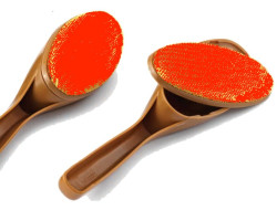 Brosse à habits