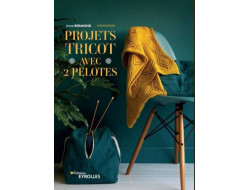 Livre Projets tricot avec 2 pelotes
