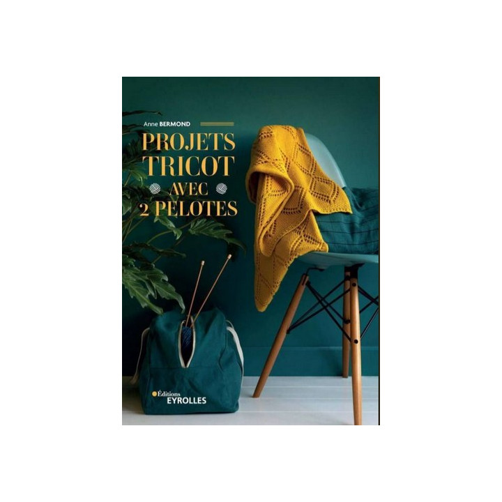 Livre Projets tricot avec 2 pelotes Anne Bermond  - 1