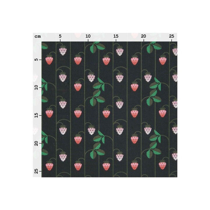 Tissu canvas fraises Rico Design Rico Design - 2