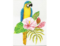 No count cross stitch Perroquet Macaw