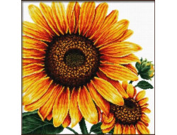 No count cross stitch Tournesol
