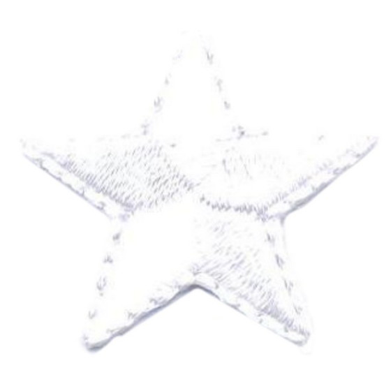 Patch Ecusson Brode Thermocollant Drapeau Suisse Blouson Backpack Switzerland Fr